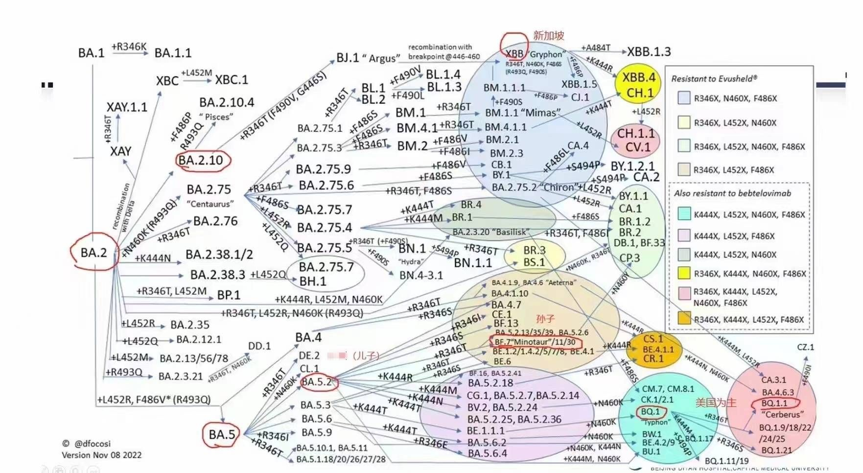 陽了哪些事情不能做？感染新冠康復(fù)之后哪些事要注意？
