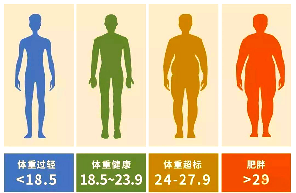 人體健康指標有哪些？輕松讀懂自己的身體信號